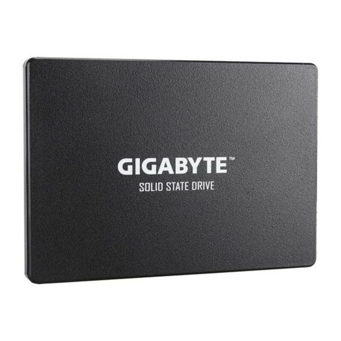 Disco Duro Gigabyte GP-GSTFS31256GTND 256 GB SSD 1