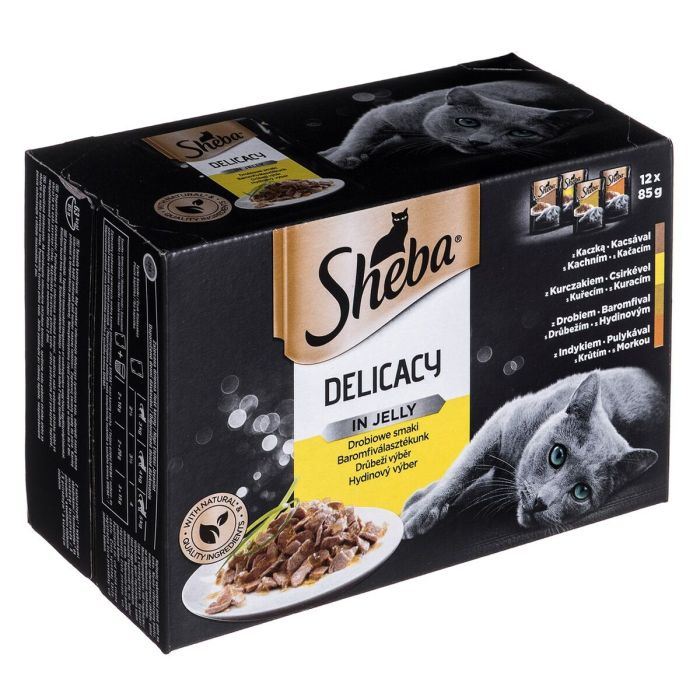 Comida para gato Sheba Delicacy in Jelly Pollo Pavo Pato Aves 2