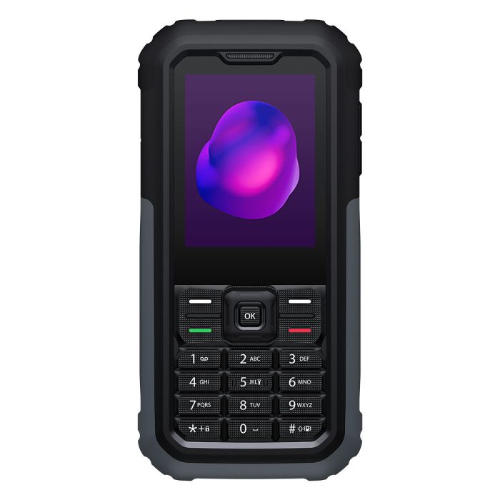 Teléfono Móvil TCL 3189 2,4" Gris Negro/Gris 1