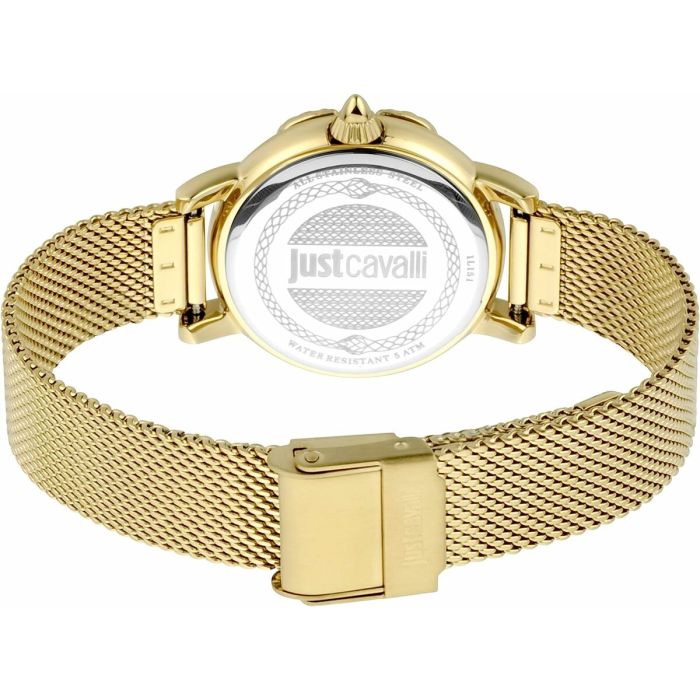 Reloj Mujer Just Cavalli JC1L151M0535 3