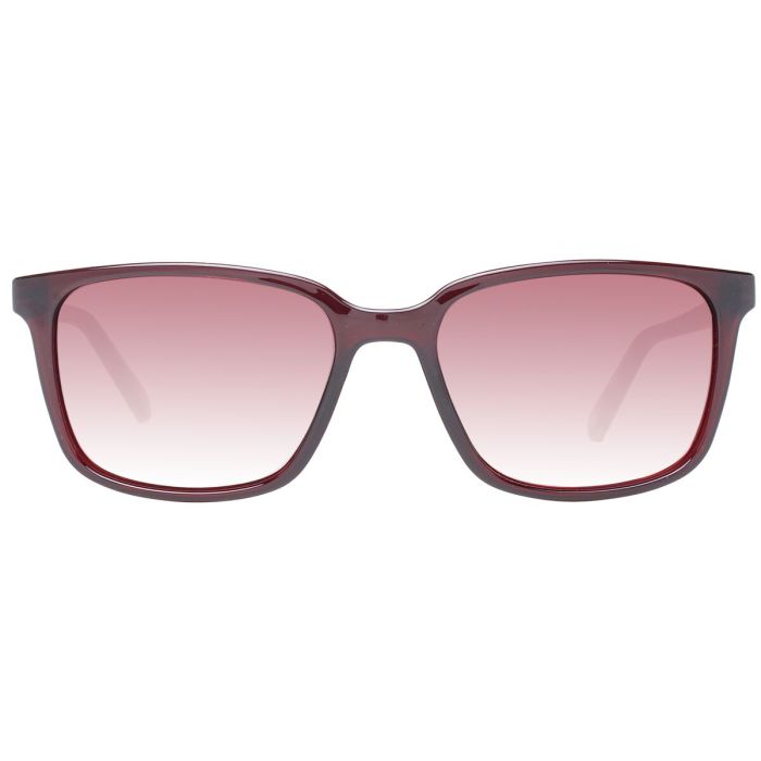 Gafas de Sol Hombre Ted Baker TB1529 53249 2