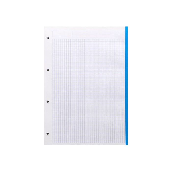 Recambio Liderpapel A4 120 Hojas 80 gr-M2 Cuadro 5 mm Sin Margen 4 Taladros Bandas De 5 Colores 5