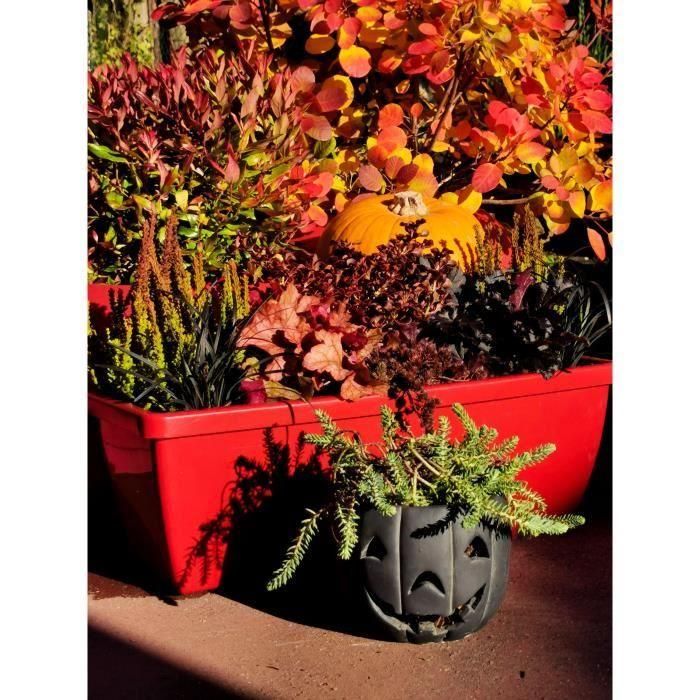 Riviera RIV1687434768649 Jardinera EVA, Juego de 2 maceteros de Plástico, 57 cm, Rojo 2