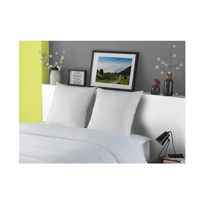 DODO Almohada de plumas de ganso MORZINE Anti-Acarions 65x65cm blanco 2 DODO Almohada de plumas de ganso MORZINE Anti-Acarions 65x65cm blanco 2