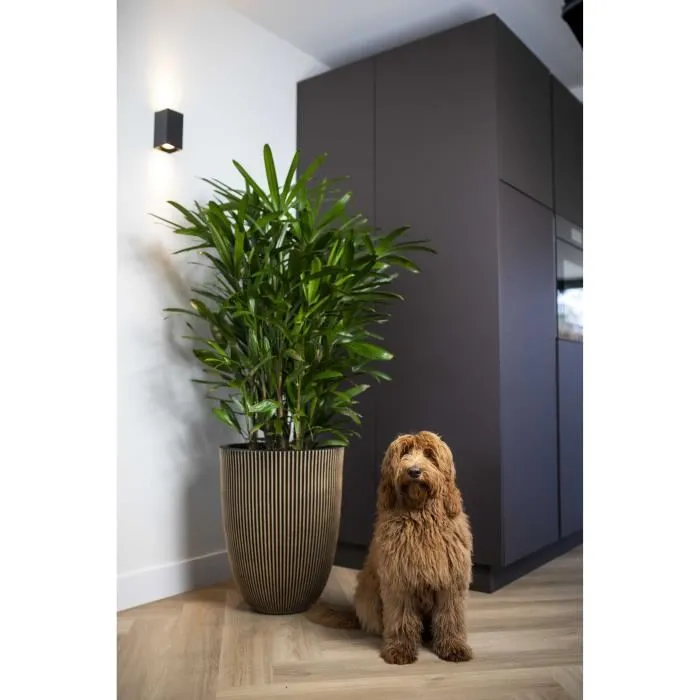 Capi Europe Florero Elegant Groove 46x58 cm Negro y dorado 445495 2