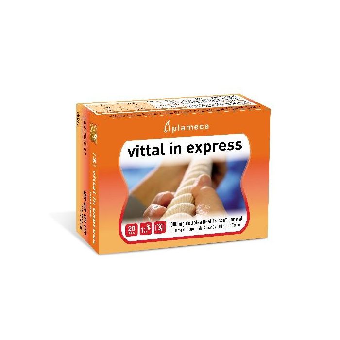 Vittal In Express Vittal In Express