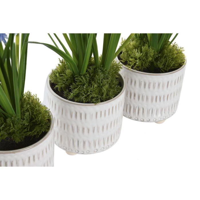 Planta DKD Home Decor Rosa Azul 15 x 30 x 15 cm (3 Unidades) 1 Planta DKD Home Decor Rosa Azul 15 x 30 x 15 cm (3 Unidades) 1