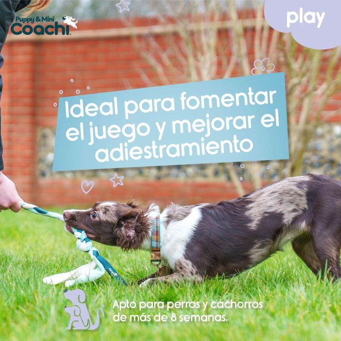 Arnés para Perro Coachi 3 Arnés para Perro Coachi 3