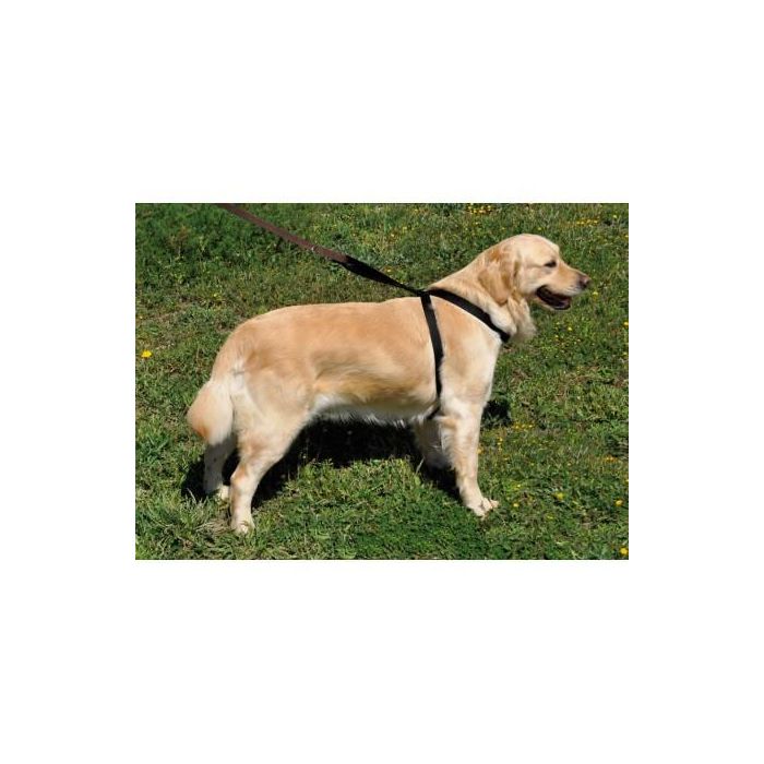 Nayeco Arnés X Coche Negro 25 mmx25-60 cm, 25 mmx28-67 cm