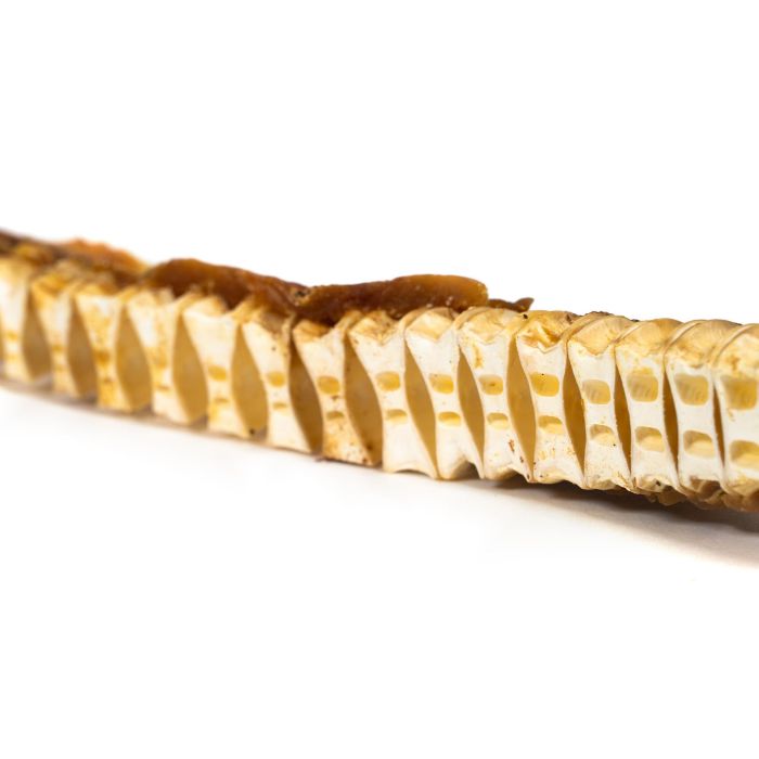 Snacks Gloria Espinada de Pescado Natural Deshidratada con Omega 3,6,9 Sin Aditivos 150 gr 1