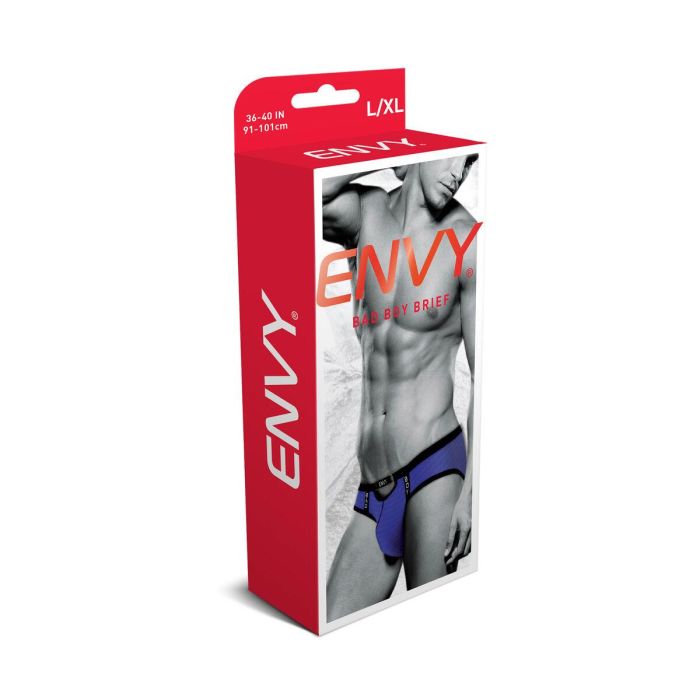Calzoncillos clásicos Envy Morado L/XL 3 Calzoncillos clásicos Envy Morado L/XL 3