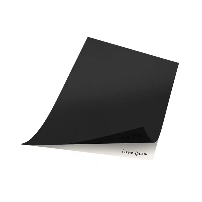 Liderpapel Papel Carbon Negro DIN A4 Bolsa de 10 Hojas 4