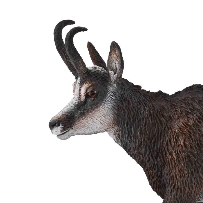 Rebeco L-80045-Collecta 1