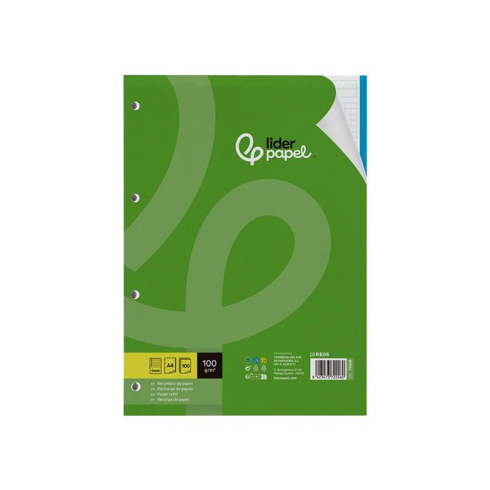 Recambio Liderpapel A4 100 Hojas 100 gr-M2 Cuadro 5 mm 4 Taladros Bandas De 5 Colores 24 unidades 1