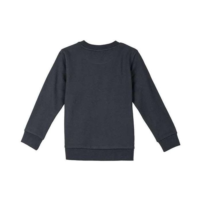 Sudadera sin Capucha Niño The Lion King Gris oscuro 4 Años 1 Sudadera sin Capucha Niño The Lion King Gris oscuro 4 Años 1