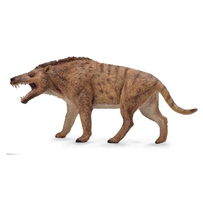 Collecta 88772 Andrewsarchus Figura Réplica Animal Prehistórico Deluxe Modelada a Detalle Pintada a Mano Escala 1:20 Educativa +3 Años Collecta 88772 Andrewsarchus Figura Réplica Animal Prehistórico Deluxe Modelada a Detalle Pintada a Mano Escala 1:20 Educativa +3 Años