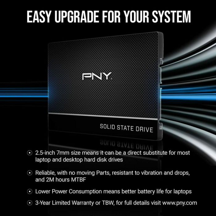 PNY PNY0751492636023 SSD Disco Duro Interno CS900 2 TB 2.5 Pulgadas 10