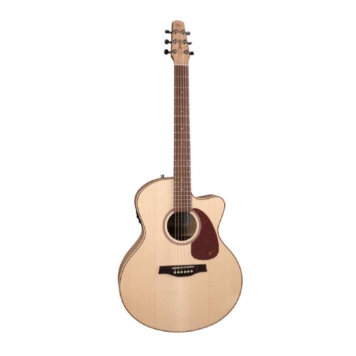 Seagull Performer Cw Mini Jumbo Hg Presys Ii With Bag
