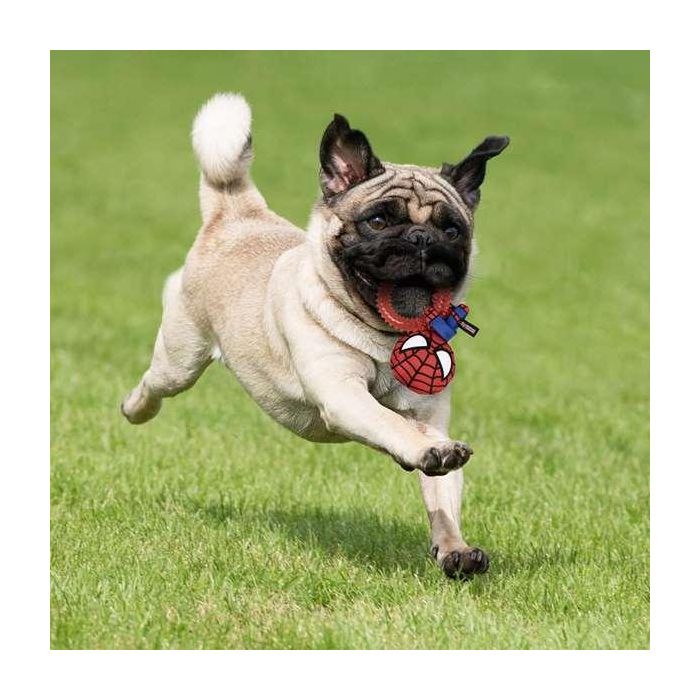 Cerdá Mordedor para Perro Spiderman Rojo 7.0 x 12.5 x 18.5 cm 3