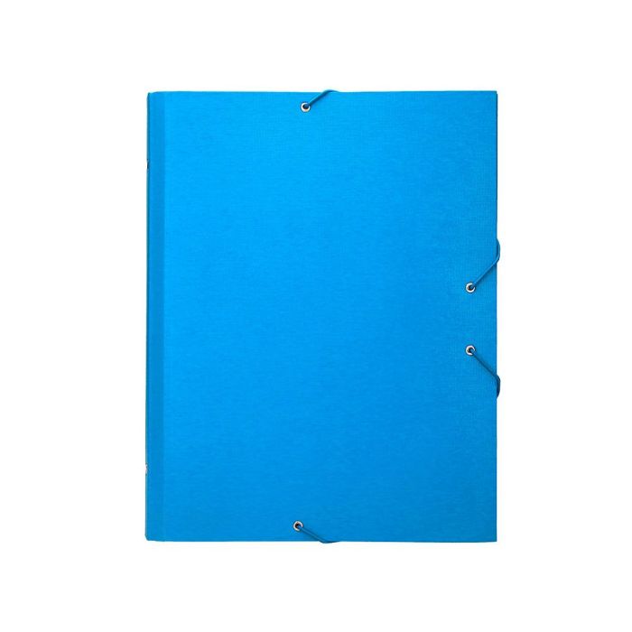 Carpeta Clasificadora Liderpapel 12 Departamentos Folio Prolongado Carton Forrado Celeste 3