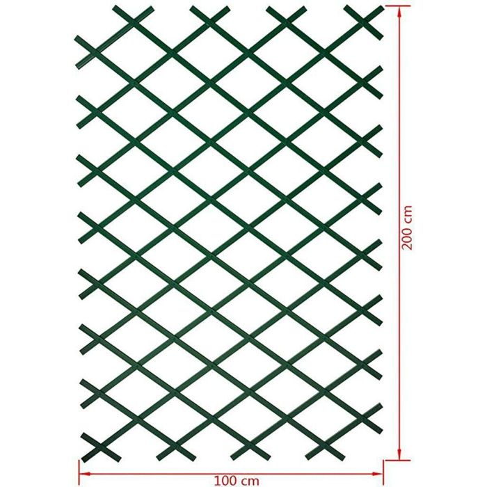 Nature Malla Enrejado Elástica Plástico Extensible Verde 100x200cm para Plantas Trepadoras y Decoración con Fijación 1 Nature Malla Enrejado Elástica Plástico Extensible Verde 100x200cm para Plantas Trepadoras y Decoración con Fijación 1