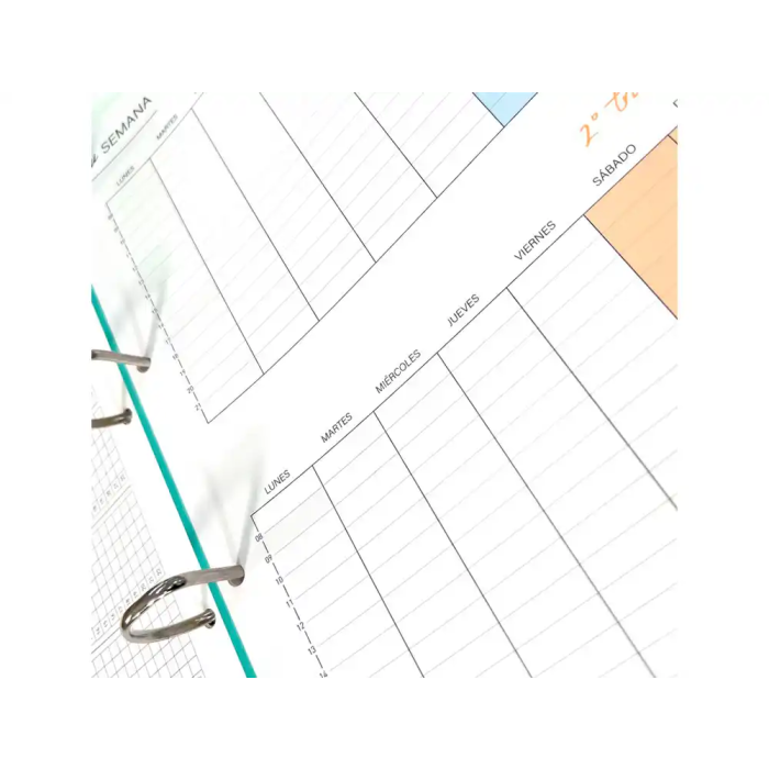 Carpeta de anillas Carchivo Multicolor A4 (8 Unidades) 8