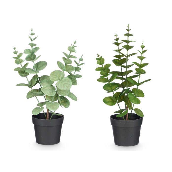 Maceta Planta Hoja Redonda Mate Brillo Surtidos Col Ibergarden 16X35CM (12 Unidades) 2 Maceta Planta Hoja Redonda Mate Brillo Surtidos Col Ibergarden 16X35CM (12 Unidades) 2