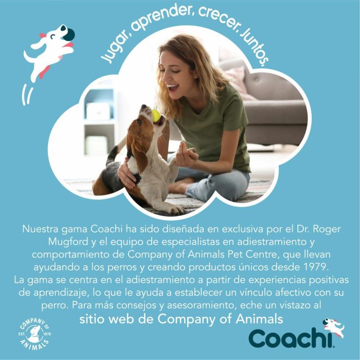 Juguete de adiestramiento Coachi Stick Azul 1