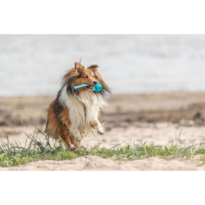 Pelota para Mascotas Trixie Turquesa TPE Bola ø 6 x 23 cm 4 Pelota para Mascotas Trixie Turquesa TPE Bola ø 6 x 23 cm 4