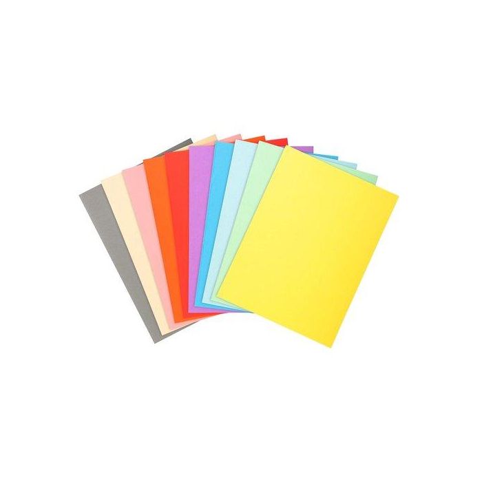 Exacompta Subcarpeta Cartulina Reciclada DIN A4 Colores Surtidos 170 gr Certificado Blue Angel