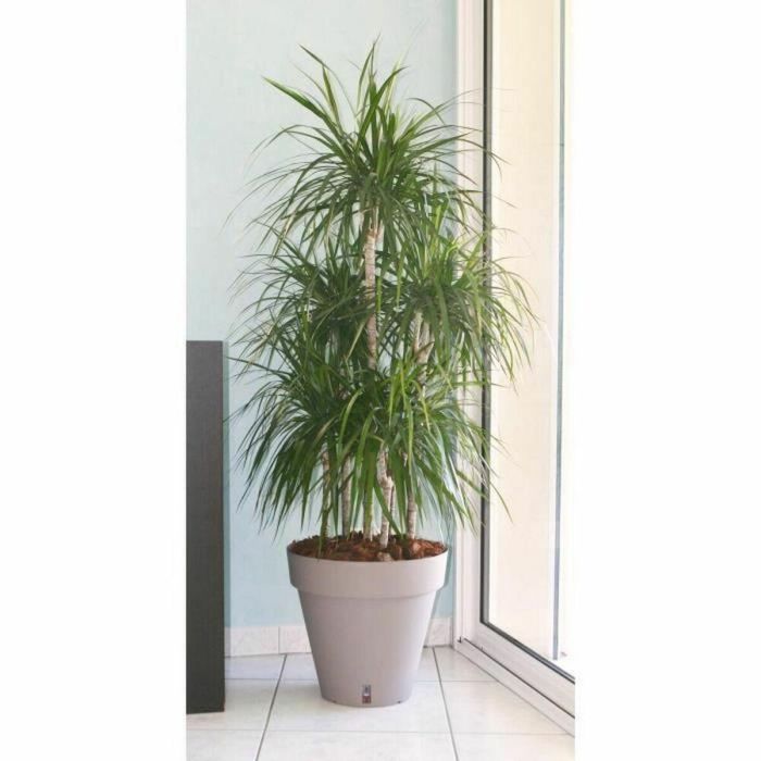 Maceta Riviera Marrón Taupé Polipropileno Plástico Redondo Bola Ø 50 cm 1 Maceta Riviera Marrón Taupé Polipropileno Plástico Redondo Bola Ø 50 cm 1