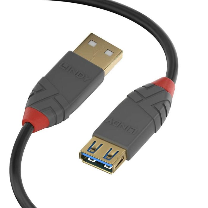 Lindy Cable Extensión USB 3.2 Tipo A a A 3m, 5Gbps, Anthra Line con Contactos Bañados en Oro para Conexiones de Alto Rendimiento
