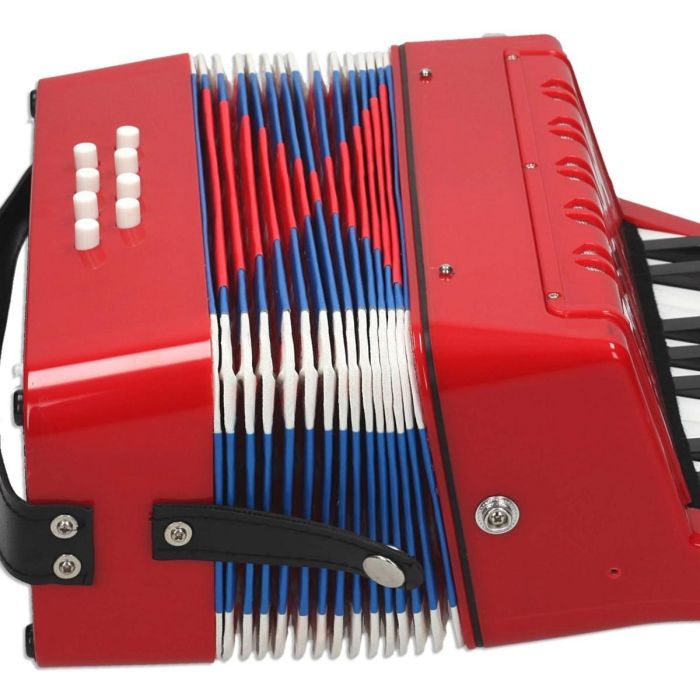 Acordeon teclas 2