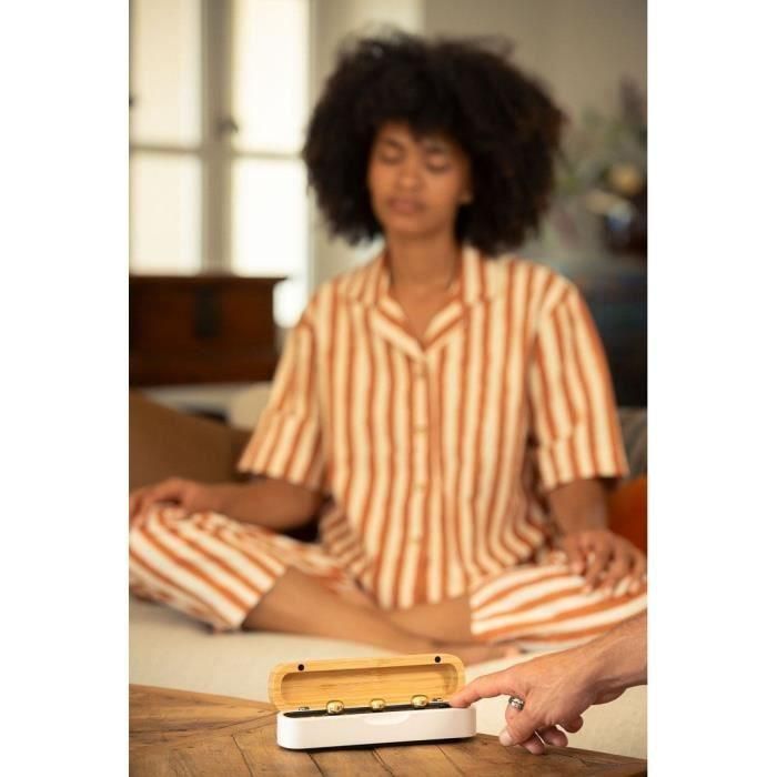 Caja de meditación para el estado de ánimo - MORPHEE - 600 audios - 10 temas 1 Caja de meditación para el estado de ánimo - MORPHEE - 600 audios - 10 temas 1