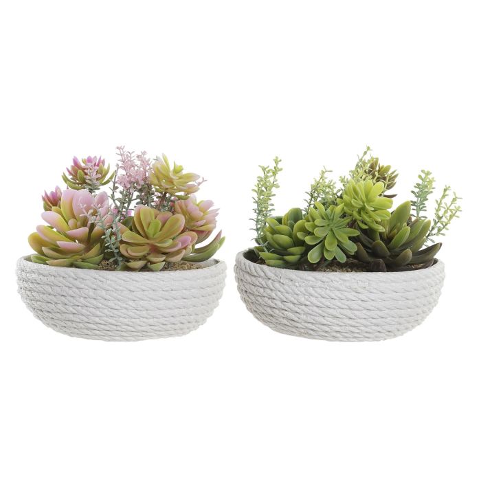 DKD Home Decor Planta Verde Rosa 17 x 17 x 14 cm (4 Unidades) 0 DKD Home Decor Planta Verde Rosa 17 x 17 x 14 cm (4 Unidades) 0