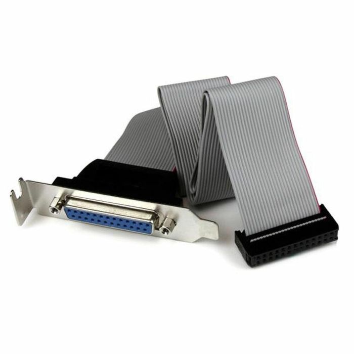 Adaptador Startech PLATE25F16LP 1 Adaptador Startech PLATE25F16LP 1