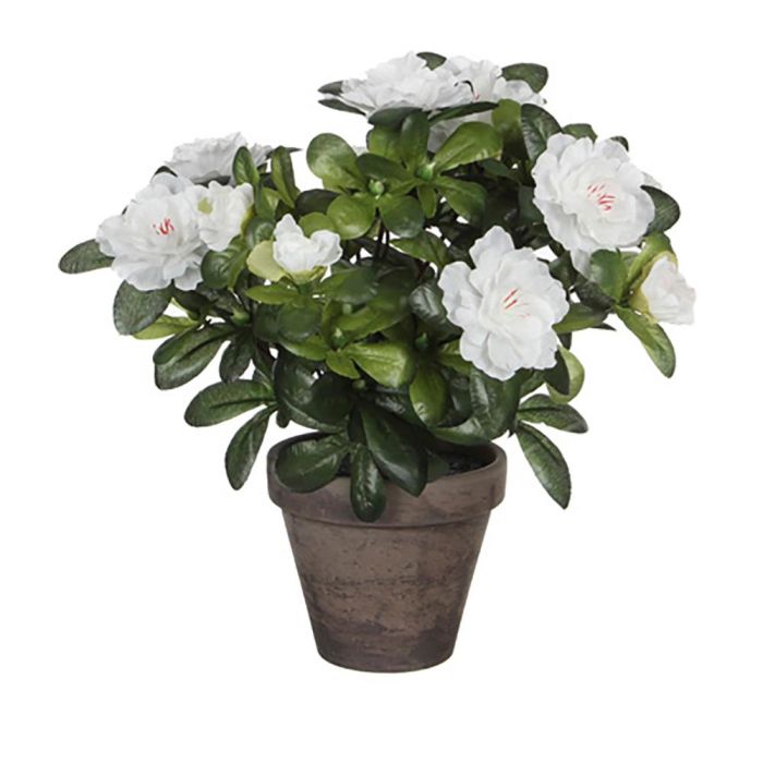 Mica Decorations Azalea artificial blanca en tiesto gris Ø11,5x27cm 0 Mica Decorations Azalea artificial blanca en tiesto gris Ø11,5x27cm 0