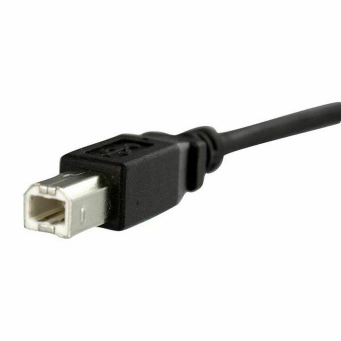 Cable USB Startech USBPNLBFBM1 USB B Negro