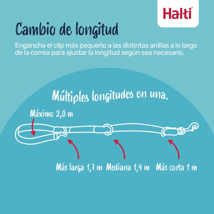 Correa de adiestramiento Company of Animals BURNT Naranja 3