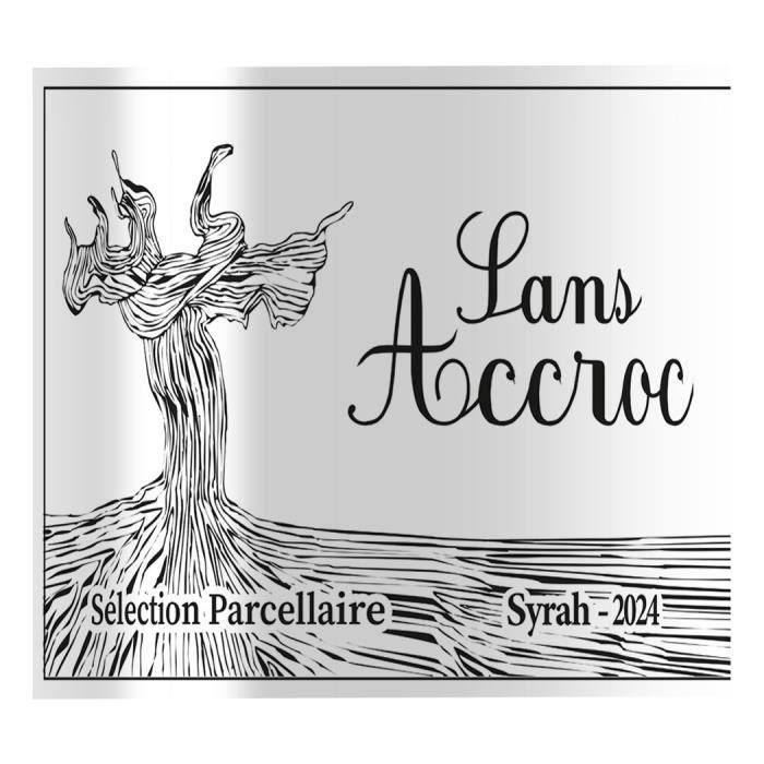 Sans Accroc 2024 Selección de parcelas de vino del valle del Ródano Syrah - Vin de France tinto 1