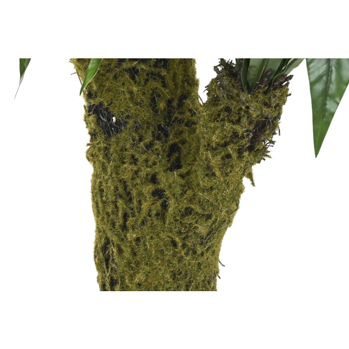 Planta Tropical DKD Home Decor Verde 60 x 150 x 60 cm (2 Unidades) 2 Planta Tropical DKD Home Decor Verde 60 x 150 x 60 cm (2 Unidades) 2
