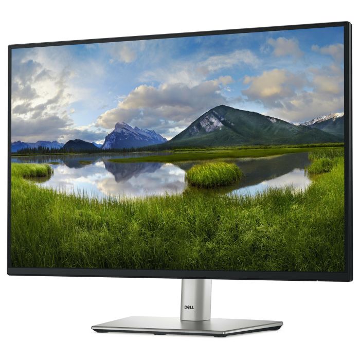 Dell Monitor P2425 24 Pulgadas WUXGA 100Hz IPS, Panel Antirreflejos, Flicker Free, Luz Azul Baja, Ajuste Altura, HDMI, DisplayPort, USB-C 1