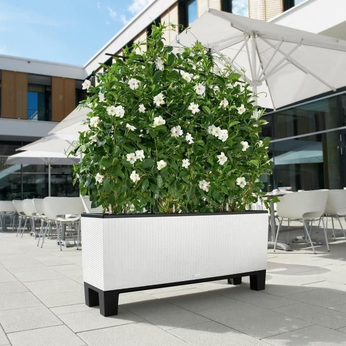 Jardiniere Trio Cottage 30 - LEC - kit completo - blanco - resistente a la intemperie 4 Jardiniere Trio Cottage 30 - LEC - kit completo - blanco - resistente a la intemperie 4