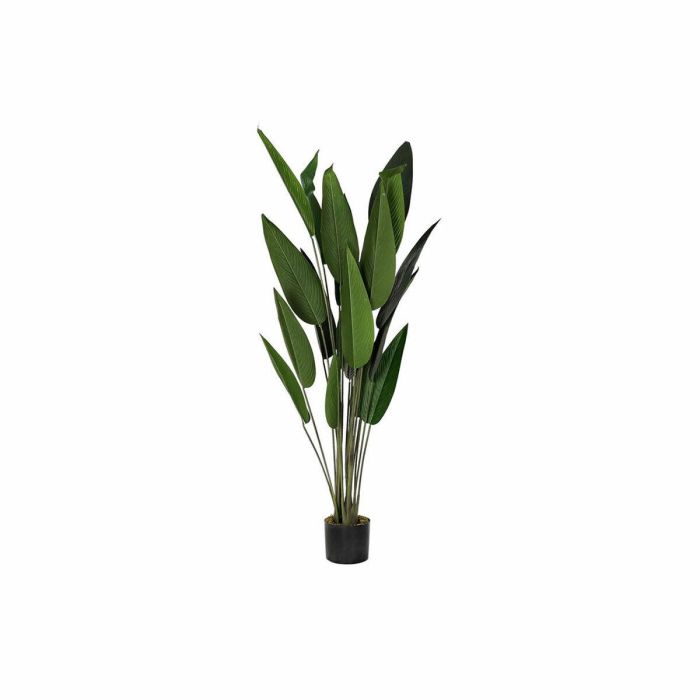 Planta Decorativa DKD Home Decor 50 x 50 x 160 cm Polietileno Verde Ave del paraíso Urbano Planta Decorativa DKD Home Decor 50 x 50 x 160 cm Polietileno Verde Ave del paraíso Urbano