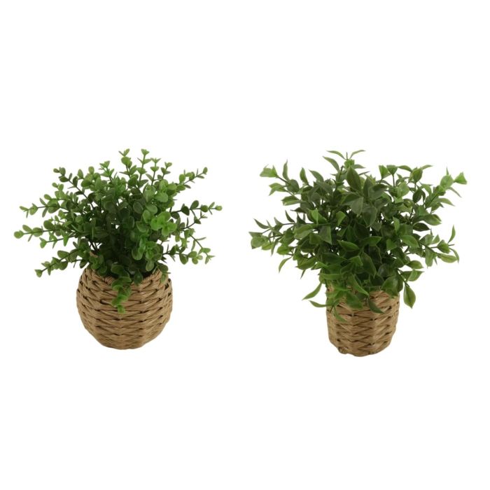 DKD Home Decor Planta Artificial Verde Natural PE/Fibra 25.5 x 28 x 25.5 cm (6 Unidades)