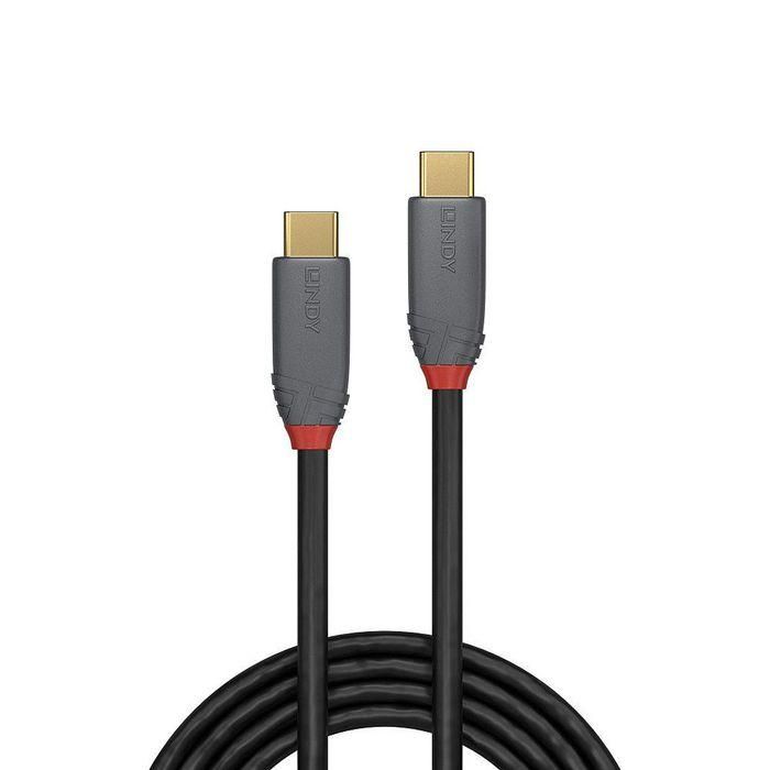 Cable USB C LINDY 36901 1 m 1 Cable USB C LINDY 36901 1 m 1