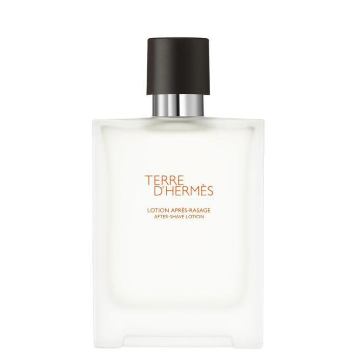 Hermès Terre d'Hermès Eau de Toilette 100ml