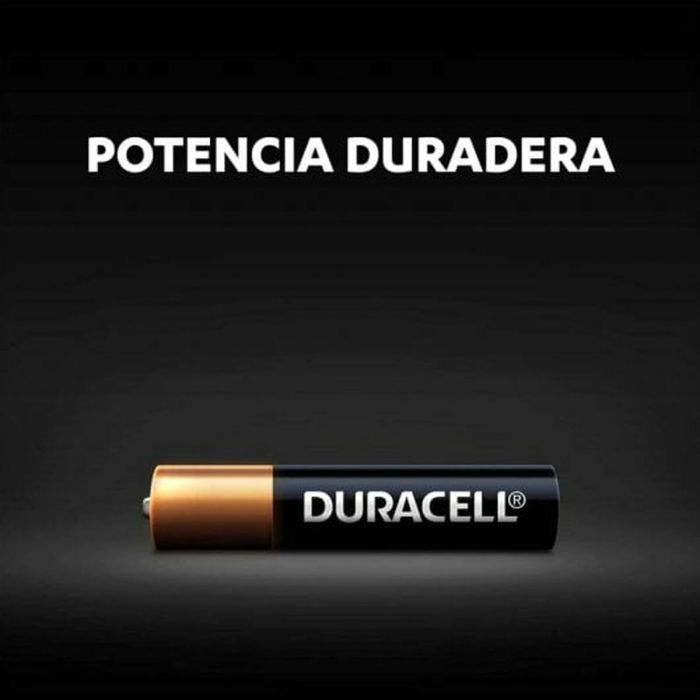 Pilas Alcalinas DURACELL 2 AAAA 1,5 V 3