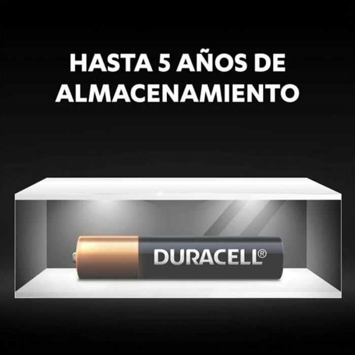 Pilas Alcalinas DURACELL 2 AAAA 1,5 V 2