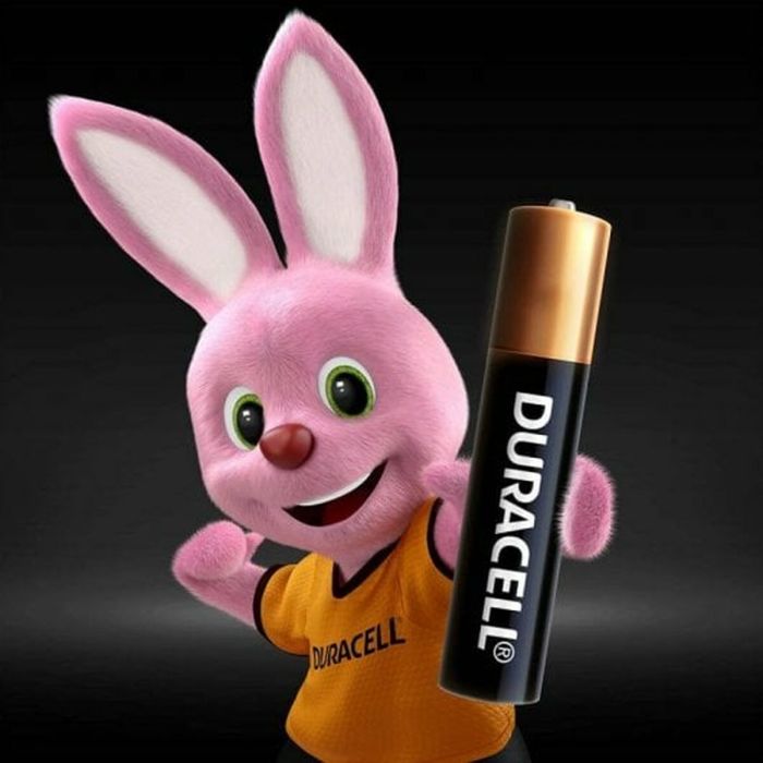 Pilas Alcalinas DURACELL 2 AAAA 1,5 V 1